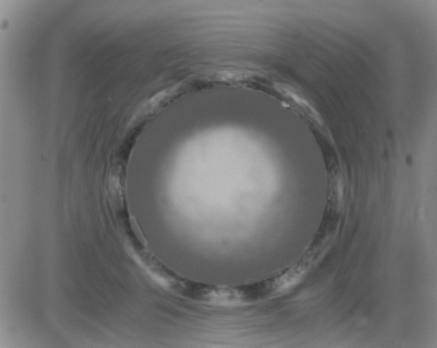 X0000084010415200703022036