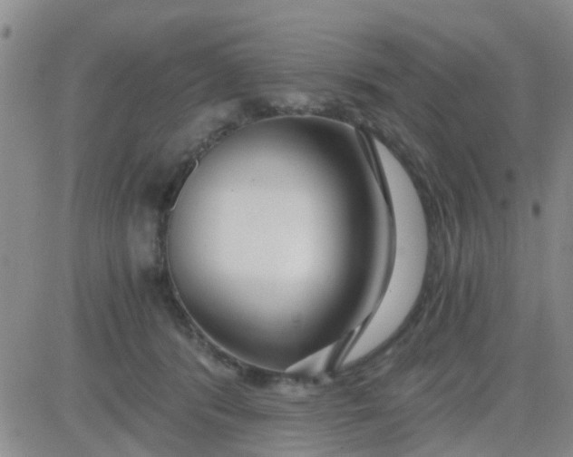 X0000084010416200703022036