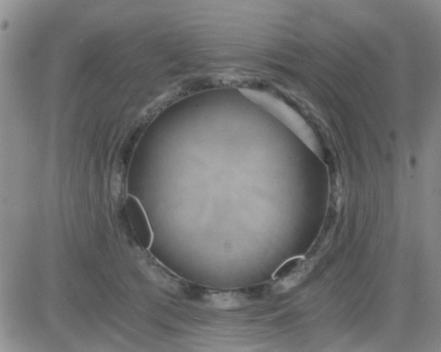 X0000084010417200703022036