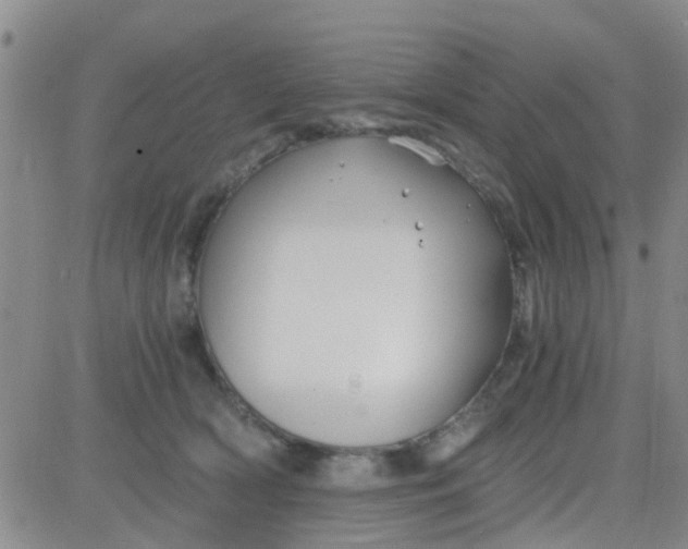 X0000084010418200703022036