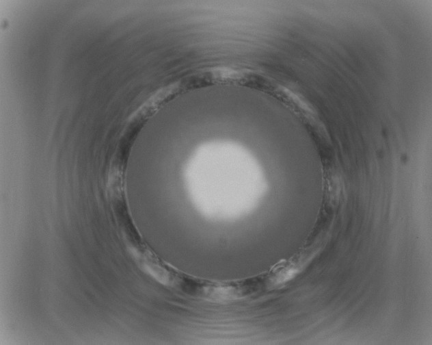 X0000084010419200703022036