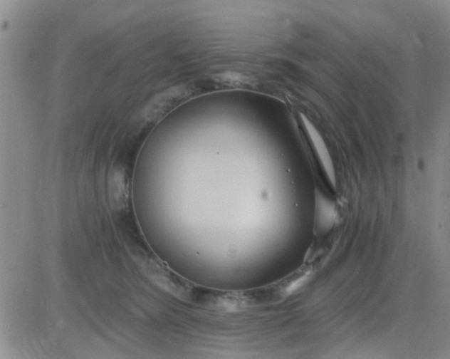 X0000084010420200703022036