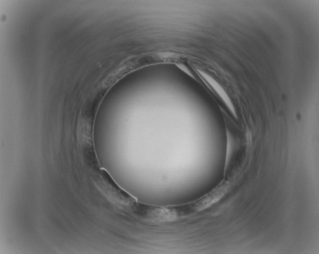 X0000084010421200703022036