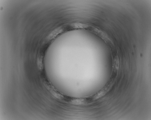 X0000084010422200703022036