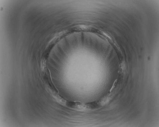 X0000084010423200703022036