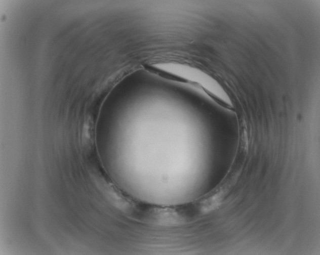 X0000084010424200703022036