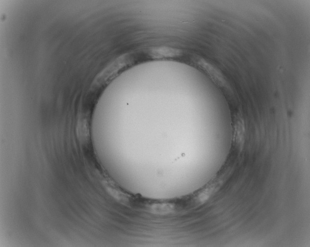 X0000084010426200703022036