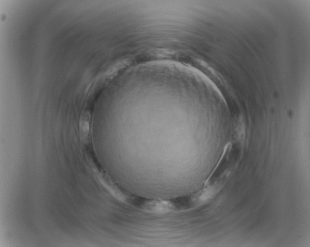 X0000084010427200703022036