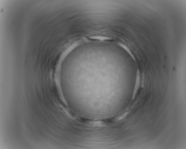 X0000084010428200703022036