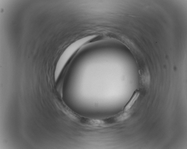 X0000084010429200703022036