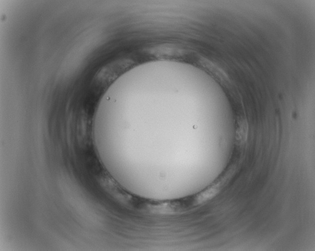 X0000084010430200703022036