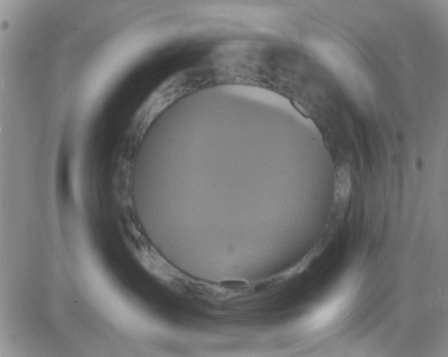 X0000084010431200703022036