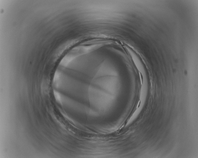 X0000084010434200703022035