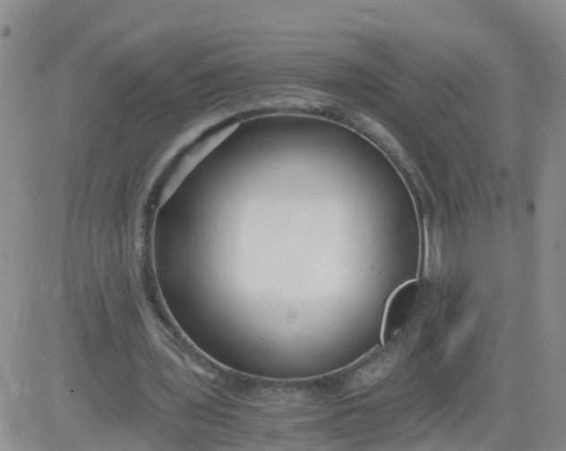 X0000084010435200703022035