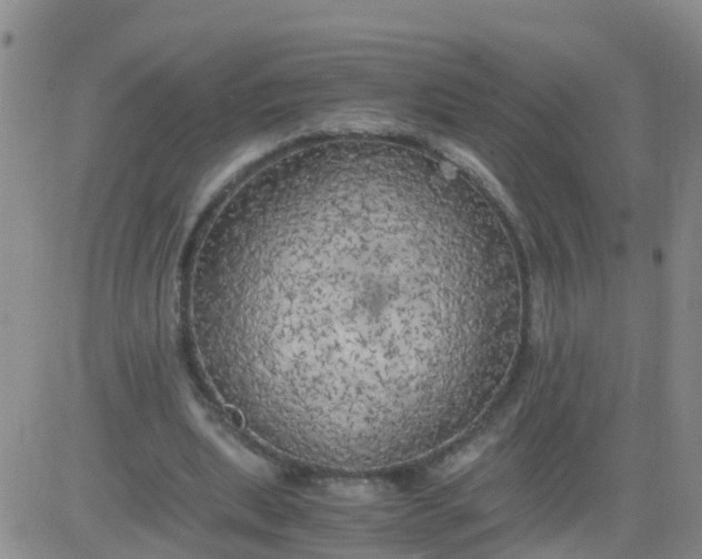 X0000084010439200703022035