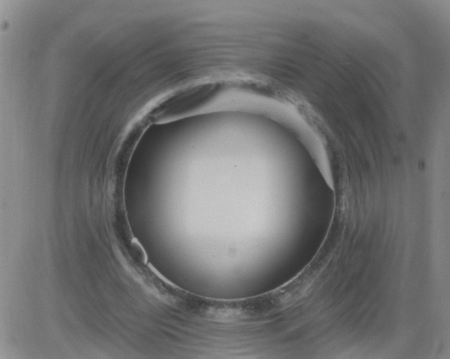 X0000084010440200703022035