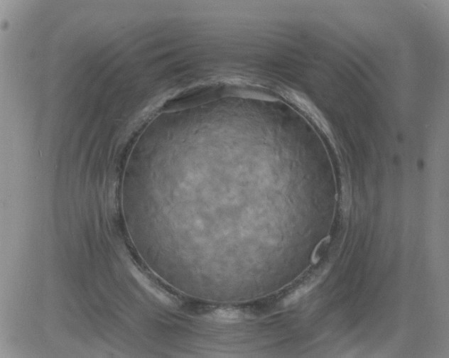 X0000084010441200703022035