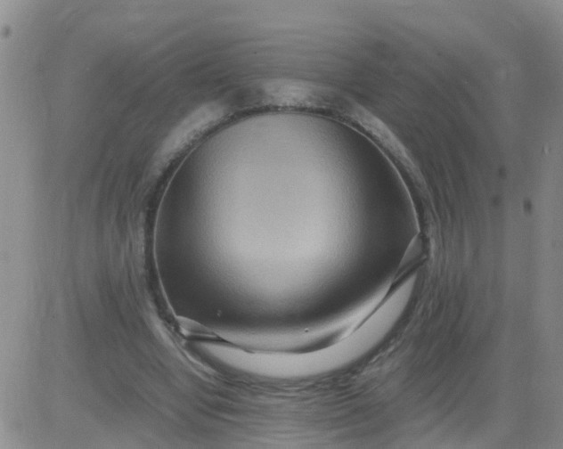 X0000084010442200703022035