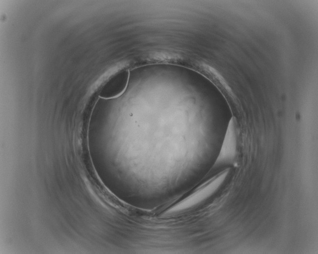 X0000084010443200703022035