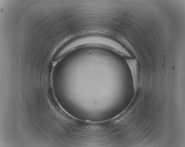 X0000084010444200703022035