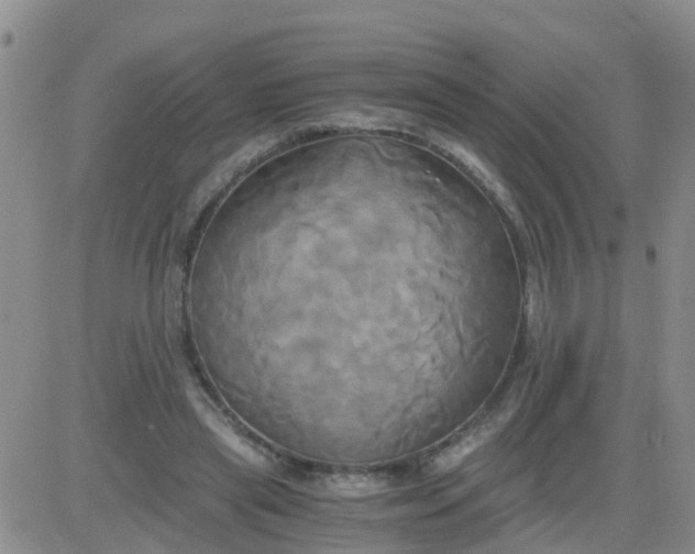 X0000084010445200703022035