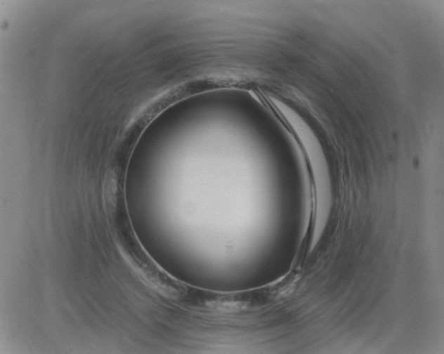 X0000084010448200703022035