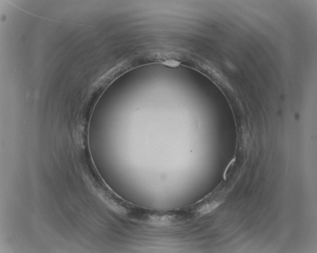 X0000084010450200703022035