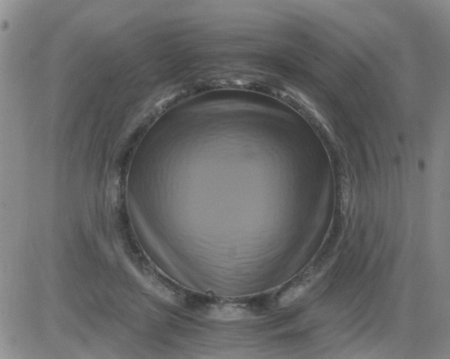 X0000084010451200703022035