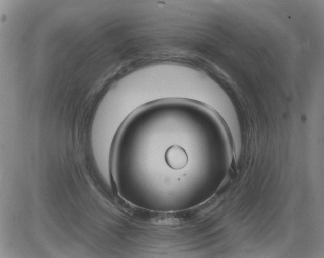 X0000084010452200703022035