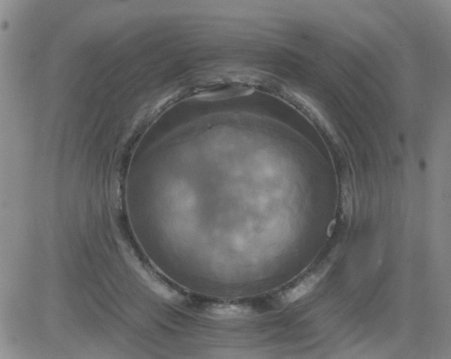 X0000084010453200703022035