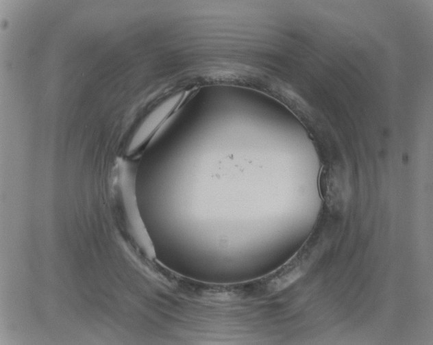 X0000084010454200703022035