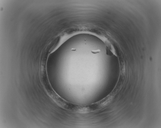 X0000084010456200703022035