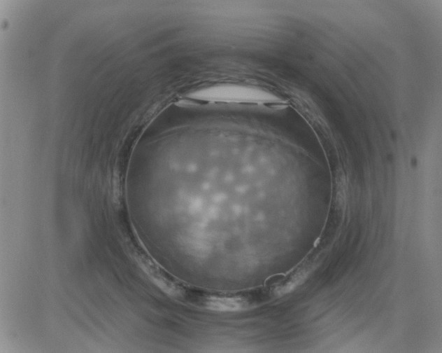 X0000084010457200703022035