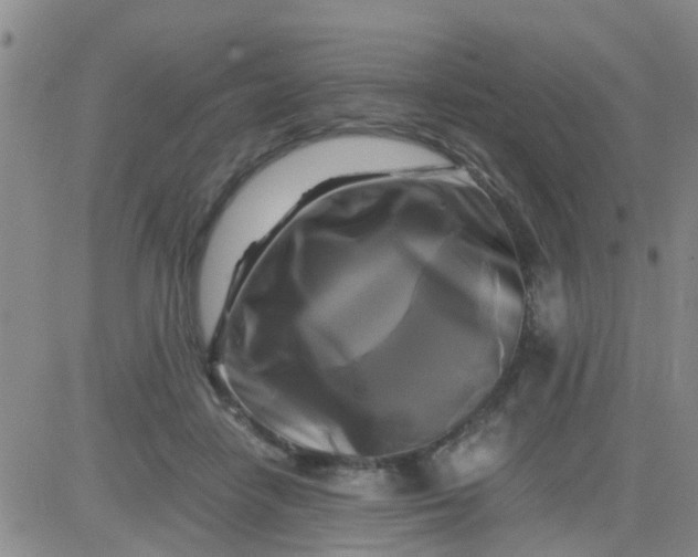 X0000084010458200703022035