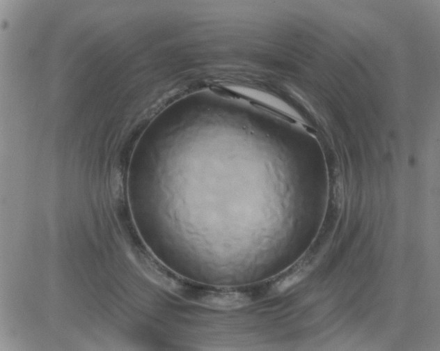 X0000084010459200703022035