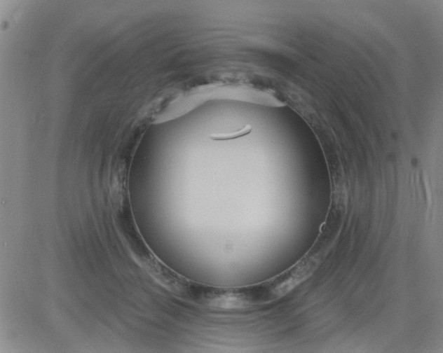 X0000084010460200703022036