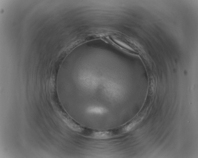 X0000084010461200703022036