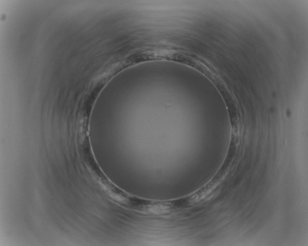 X0000084010462200703022036