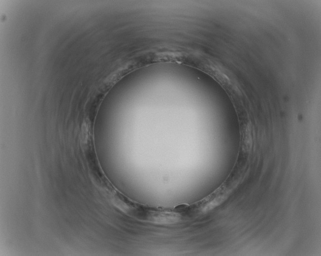 X0000084010463200703022036