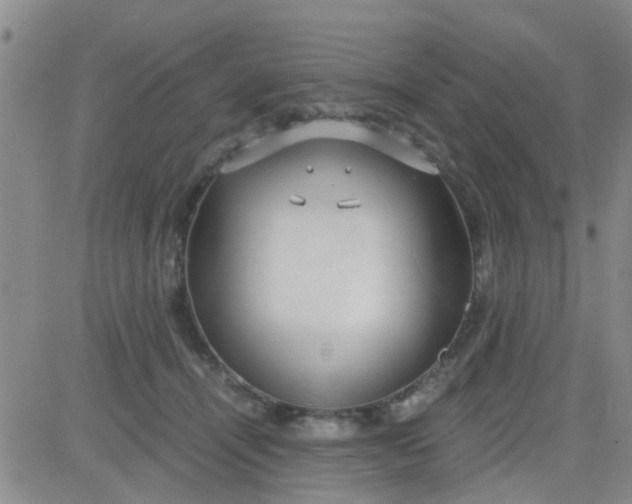 X0000084010464200703022036