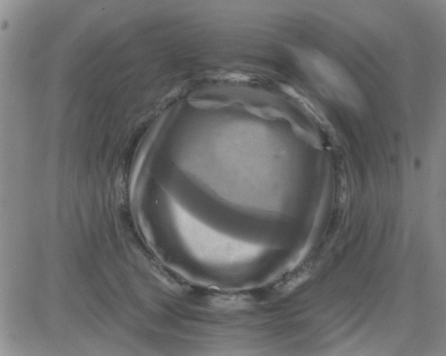 X0000084010465200703022036