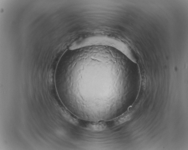 X0000084010466200703022036