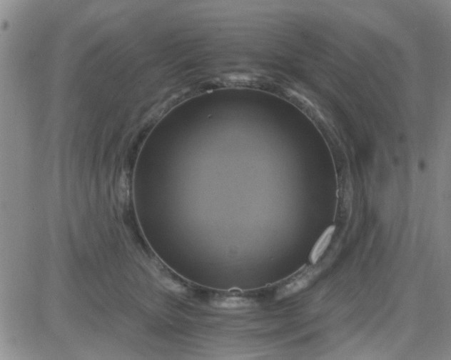 X0000084010467200703022036