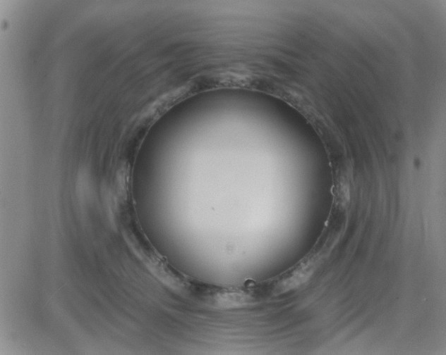 X0000084010468200703022036