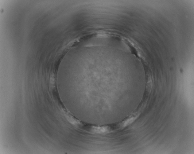 X0000084010469200703022036