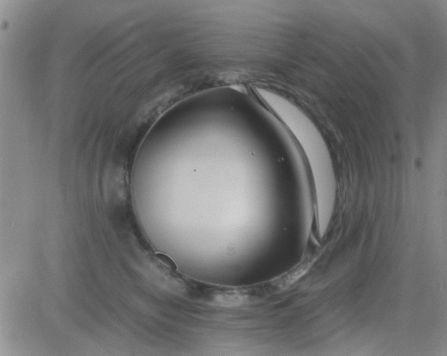 X0000084010470200703022036