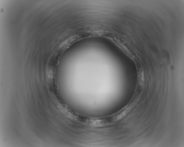 X0000084010472200703022036