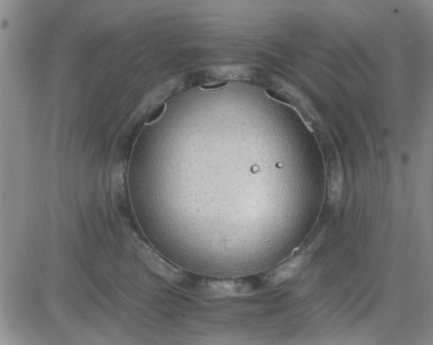 X0000084010473200703022036