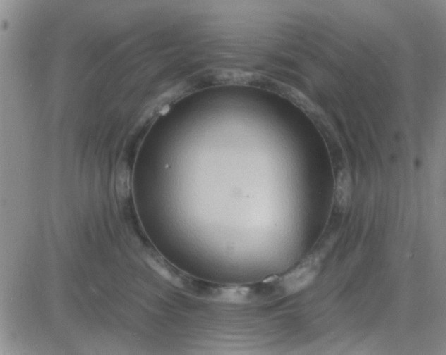 X0000084010474200703022036