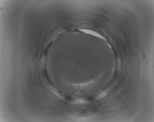 X0000084010475200703022036